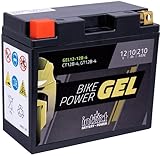 Intact Motorrad Batterie Gel 12 V 10 AH (GT12B-4 / 51299) passend für: LI-12-12B-4 - YT12BBS - 51001 - 51015 - CT12L-B - 512901019 - YT12B-4 - YT12B-BS - 0092M60190 - M6019 - 00972512P1 - F12-12B,WP12B-4 - KT12B-4 - 51299 - 51201 - CT12B-4