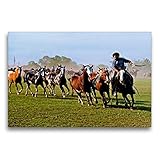 CALVENDO Premium Textil-Leinwand 75 x 50 cm Quer-Format Fiesta de la Tradición in San Antonio de Areco, Provinz Buenos Aires, Leinwanddruck von Bernd Z