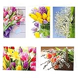 20 Stück Grußkarten Frühling Blanko Kunst Foto mit Umschlag, Klappkarten 17x12