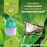 Biogrowi Pflanzenschutz Pheromonfalle gegen die Buxusmotte, Vier Pheromonkapseln enthalten, All-in-1-Kit für eine ganze Saison biologischen Schutz, Schützt 200 m2 Buchsb