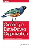 Creating a Data-Driven Organization: Practical Advice from the T