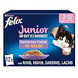FELIX So gut wie es aussieht Junior Kittenfutter nass in Gelee, Sorten-Mix, 6er Pack (6 x 12 Beutel à 85g)