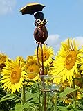 Pommerntraum ® | Regenmesser Niederschlagsmesser Pluviometer Rostoptik Prof. Dr. Rabe mit Regenschirm + Meisenknödelhalter - tolle Gartendeko (gelber Schirm)