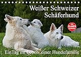 Weißer Schweizer Schäferhund - Ein Tag im Leben einer Hundefamilie (Tischkalender 2022 DIN A5 quer)