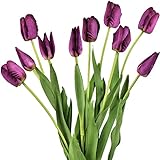 YYHMKB 10 Stängel Real Touch Tulpe Künstlicher Blumenstrauß, Perfekt für Hochzeit, Braut, Party, Zuhause, Feiertage, Garten, Geburtstag, Bürodekoration DIY Wid Berry Purple (Hoch)