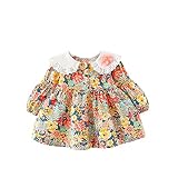 JERFER Kleinkind Baby Mädchen Lange Ärmel Rüschen Obst Drucken Bowknot Prinzessin Kleid E210