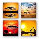 BilderKing Afrika Set A Wand-Bilder als mehrteiliges, 4-TLG. Landschafts-Bilder-Set, je 29x29cm klein, Schwebende Optik. Fine-Art-Druck auf Forex. Deko-Bilder für Wohnzimmer Küche Flur S