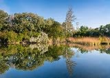 CALVENDO Fascinating reflections, Poster DIN A1 quer, Bilder, Kunstdruck, Wandbild, Wanddeko, Prints ohne R
