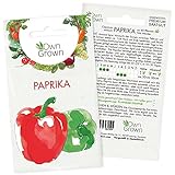 Paprika Samen: Premium Paprika Saatgut für die Anzucht von ca. 40 Paprika Pflanzen – Gemüse Samen für Garten und Hochbeet – Samen Gemüse – Gemüsepaprika – Samen Paprika – Gemüse Saatgut von OwnGrow