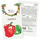 Paprika Samen: Premium Paprika Saatgut für die Anzucht von ca. 40 Paprika Pflanzen – Gemüse Samen für Garten und Hochbeet – Samen Gemüse – Gemüsepaprika – Samen Paprika – Gemüse Saatgut von OwnGrow