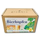 growbro Hopfen Anzuchtset, DER WEG ZU DEINEM EIGENEN BIER, Geschenk für Männer, Freunde und Papa, Geburtstagsgeschenk, Gastgeschenk, Geschenke zum Grillen, Männer Gadg