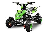 Nitro Motors 49cc Kinderquad Repti 4' Miniquad Mini Quad ATV Bike Kinder (Grün)