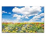 Acrylglasbilder 80x50cm Sommer Landschaft Blumen Mohnblume Sonne Acryl Bilder Acrylbild Acrylglas Wand Bild 14H820