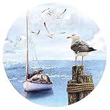 Wandaro Wandsticker Wandtattoo Wohnzimmer Wandaufkleber Schlafzimmer maritim Ostsee Vogel Wandbild Esszimmer Wanddeko Flur Tapete selbstklebend 60 cm rund DL585