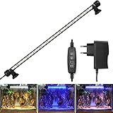 BELLALICHT LED Timer Aquarium Beleuchtung - Aquarien Lampe [Weiß Blau Licht] mit eingebautem Timer Dimmer, Dimmbar 10 Helligkeitsstufen IP67 Wasserdicht Light für Fisch Tank