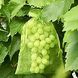SOBW 100 Stück Trauben-Schutzbeutel 30X20cm, Organzabeutel mit Zugband: Sind Einfach Anzubringen, Zum Schutz vor Wespenfrass, Vögel, Kirschessigfliege und andere Insekten, Grü