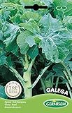 Germisem Kohl Galeg