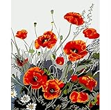 QAZZSF Rote Mohnblume Blumen DIY Malerei by Zahlen Handgemalte Acryl Bild Wandkunst Moderne Malerei Für Wohnzimmer Dekor Rahmenlose 40x50cm Digitale M