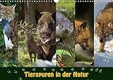 Tierspuren in der Natur (Wandkalender 2022 DIN A3 quer) [Calendar] Schörkhuber, J