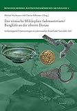 Der römische Militärplatz Submuntorium/Burghöfe an der oberen Donau: Archäologische Untersuchungen im spätrömischen Kastell und Vicus 2001 bis 2007 ... zur Provinzialrömischen Archäologie, Band 4)