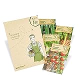 Bio Gewächshaus Set 'Albert Pflanzfein' - Samen Maier - Bio Saatgut: Mangold Bright Lights, Tomate Primabella, Asia Salat Pak Choi, Gurke Tanj