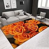 FLOORMATJING Kurzer kurzer Schlafteppich für Wohnzimmer Wohnzimmer Modernes Design Wohnzimmer Teppiche rutschfeste Möbel Waschbare Ornamente,Orange,120 * 160