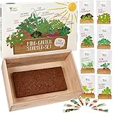 Saatgut Anzuchtset mit Holzkiste und 8 Sorten Pflanzen Samen: Kinder Anzuchtset Pflanzen mit Gemüse Samen, Erdbeeren Samen und Kräuter Samen – Mini Gewächshaus und Mini Garten Starter Kit von OwnGrow