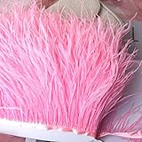 1 Meter Multicolor Echte Straußenfeder Borten Band 8-10cm Weißer Strauß für Kleid Kleidung Dekoration Nähen Federn Handwerk-rosa,8-10cm 2