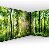 murando Eckfototapete Wald 550x250 cm Vlies Tapeten Wandtapete XXL Moderne Wanddeko Design Wand Dekoration Wohnzimmer Schlafzimmer Büro Flur Landschaft Natur grün Baum c-A-0058-a-b