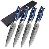 Meat Cleaver Steakmesser Set 4 Stück Damaskus Küchenmesser VG10 Japaner Damaskus Stahl Utility Messer 67 Schichten Beste Familie (Color : A)