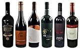 Probierpaket Gourmet Primitivo zum Kennenlernen I Weinpaket mit den besten apulischen Primitivo-Weinen (6x0,75l), Perfektes Tasting-S