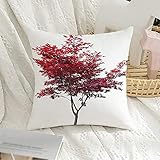 Kissenbezug Elegant Hotel Kissenhülle Benutzerdefiniert Sofa Kissenbezüge Farbe Rot Japanischer Fächerahorn Ahornbaum Eins Auf Herbst Weiße Pflanze Alte Naturobjekte Kissenbezug 45X45C