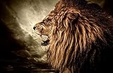 Nordic Schwarz Weiß Brüllender Löwe Wandkunst Leinwand Gemälde Poster und Drucke Wandbilder für Wohnzimmer Wohnkultur 70x100cm (70x100cm) Kein R