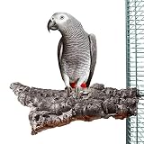 HappyBird ® | Kork-Sitzbrett XXL für Papageien ca. 25 x 15 cm mit Edelstahlschraub