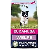 Eukanuba Welpenfutter mit Lamm & Reis für kleine und mittelgroße Rassen - Trockenfutter für Junior Hunde, 12 kg