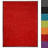 Schmutzfangmatte Use&Wash - Türmatte Sauberlaufmatte Fußabtreter - Fussmatte Teppich - für Flur Eingang Eingangsbereich - rutschfest & waschbar - in vielen Farben (60 x 90 cm, Rot 15)