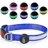 Plartree Verstellbares LED Leuchthalsband, 8 Farben USB Wiederaufladbares Wasserdichtes Hundehalsband für Mittlere/Große Hunde, Leichte Outdoor Trainingshalsbänder, Anpassen(38-55cm,2.5cm)