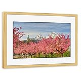 artboxONE Poster mit Rahmen Kiefer 45x30 cm Berchtesgaden Kirschblüte von Michael Valjak - g