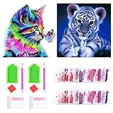 YXHZVON 2 Stück Diamant Malerei, 5D Diamond Painting Full Drill Set Katzen und Tiger Mosaik Gemälde Raumdekor Wand-Dekor 30 x 30