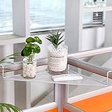 Balkon-Eckregal, platzsparender Blumenständer, Wandbehang, mehrstöckiger Pflanzenhalter, Pflanzenregal, Töpfe, Regal für Garten, Rasen, Terrasse, Ecke, Büro, Dek