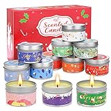 Duftkerzen Geschenke für Weihnachten,12 Stück 2.5 Unzen Aromatherapie Kerzen Geschenk für Sie,180-240 Stunden lang brennendes Sojawachs Kerzen Set mit ätherischen Ölen Stressabbau für frauen Silb