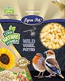 Lyra Pet® 10 kg Erdnusskerne weiß gehackt HK Südamerika Erdnussbruch Erdnüsse Vogelfutter Wildvogelfutter Ganzjahresfutter Kö