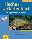 Fische für den Gartenteich pflegeleicht &