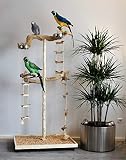 FREISITZ aus Holz Kletterbaum Papageien Freisitz 1,75 Java Tree WURZELHOLZ Papageienspielzeug
