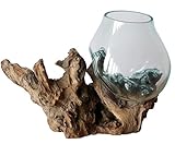 Geschenk Deko Gamal Wurzelholz B-Ware Glasvase Ø Glas 17-19 cm Wurzel Holz Teakholz Vase Glas L