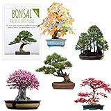 Außergewöhnliche Bonsai Samen mit hoher Keimrate - Pflanzen Samen Set für deinen eigenen Bonsai Baum (5er Set inkl. GRATIS eBook)