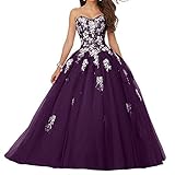 Jaeden Damen Quinceanera Kleider mit Spitze Abendkleider Lang Hochzeitskleider Elegant Ballkleid Traube EUR44