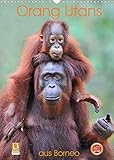 Orang Utans aus Borneo (Wandkalender 2022 DIN A3 hoch) [Calendar] Weiss, Elmar [Calendar] Weiss, Elmar [Calendar] Weiss, E