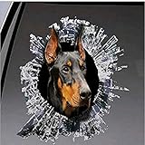 Jinling Dobermann Hund Auto Aufkleber Vinyl Auto Scratch Cover 3D Aufkleber Auto Aufkleber Für Laptop Koffer Tumbler Tür Fenster Stoßstange Gepäck Idee (Size : 18cm)