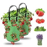 Ulikey Erdbeere Pflanzsack, Pflanzen Tasche Grow Tasche Pflanzbeutel mit Griffe, Hängend Erdbeeren Pflanztaschen mit 13 Löchern für Pflanzen/Kräuter/Blumen, 2 Pack 3 Gallon (2er-Pack Grün)